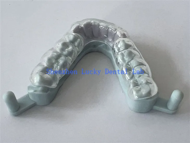 عمدہ 3D پرنٹ ہارڈ نائٹ گارڈ فیکٹری