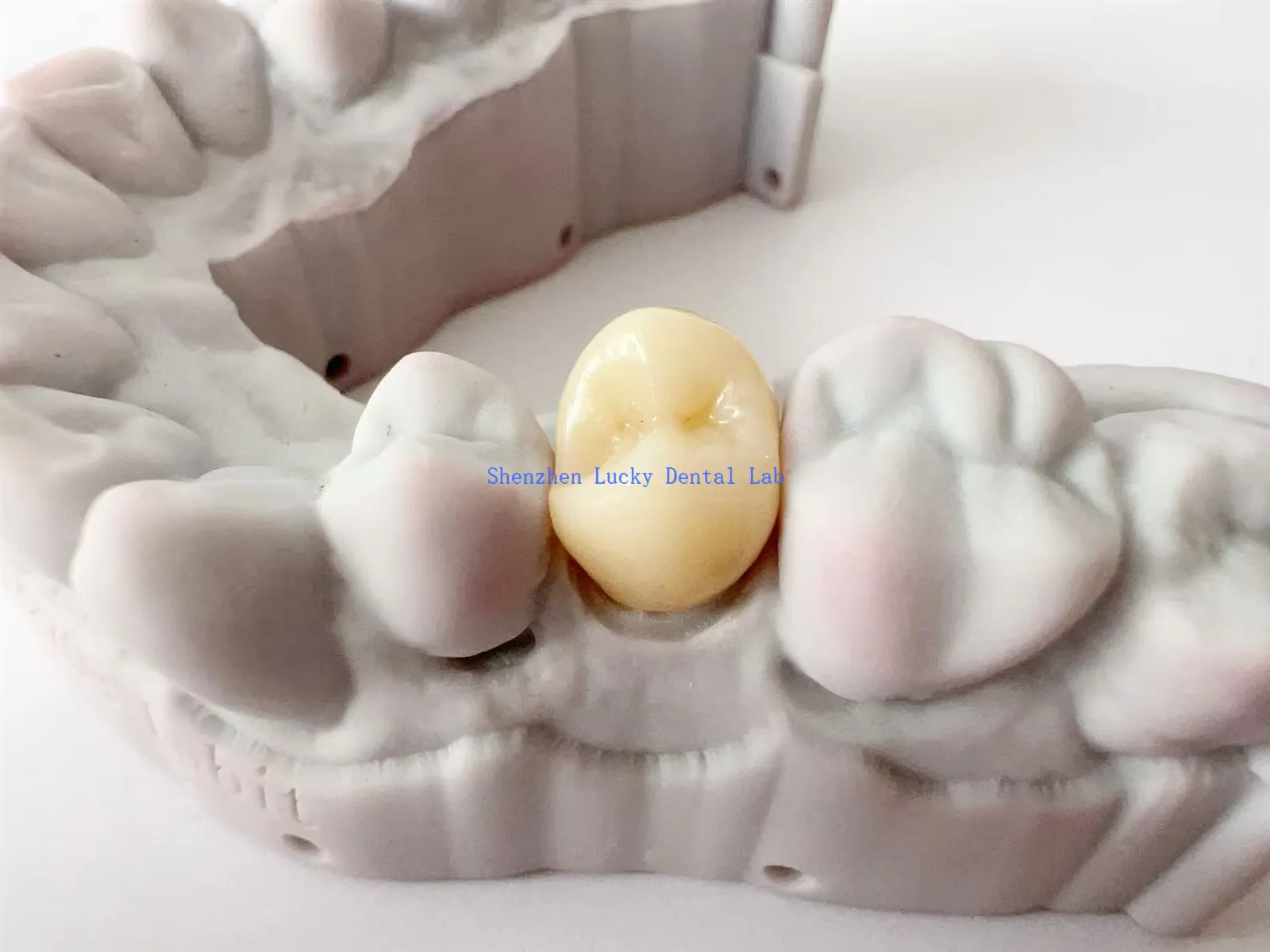 2025-06-12115231079 2025-06-12115231079